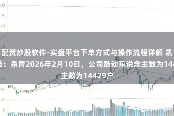 配资炒股软件-实盘平台下单方式与操作流程详解 凯因科技：杀青2026年2月10日，公司鼓动东说念主数为14429户