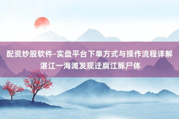 配资炒股软件-实盘平台下单方式与操作流程详解 湛江一海滩发现迂腐江豚尸体