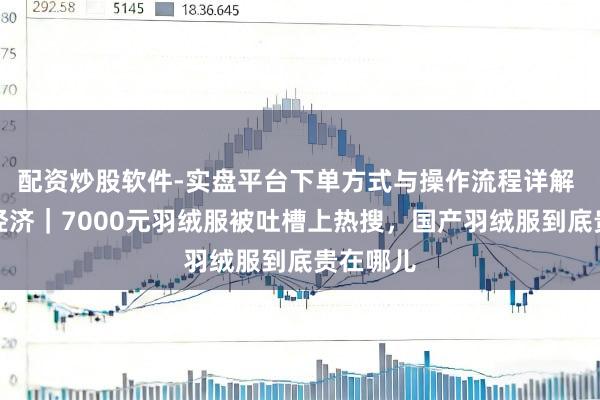 配资炒股软件-实盘平台下单方式与操作流程详解 冬日暖经济｜7000元羽绒服被吐槽上热搜，国产羽绒服到底贵在哪儿